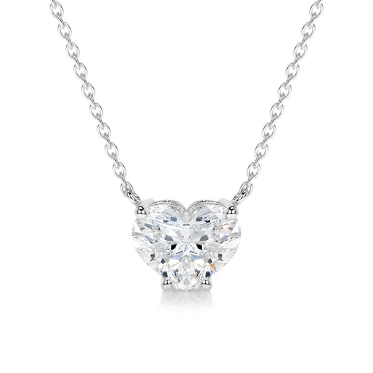BB005