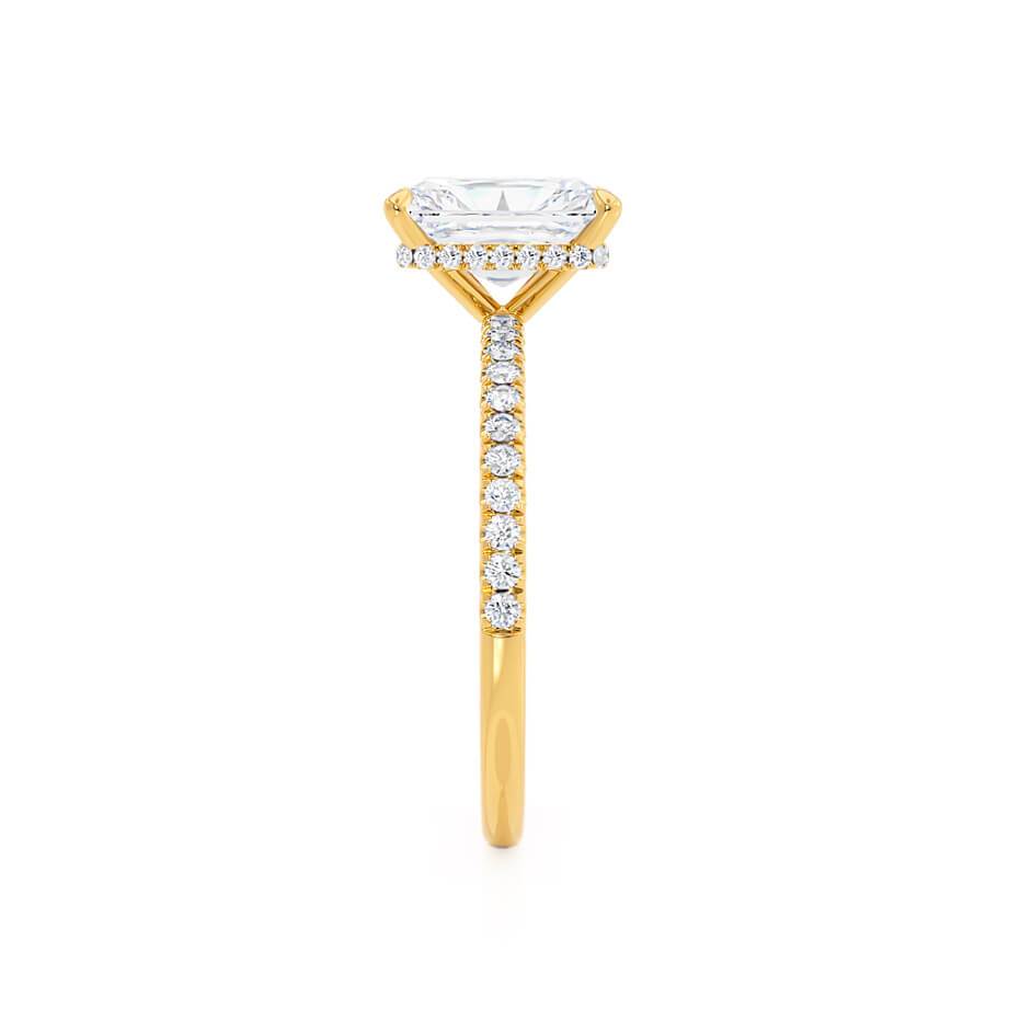 LAW155